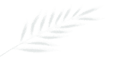 林影浮光，照见现代人的院落理想 | 中海·凤凰熙岸（大区）-11