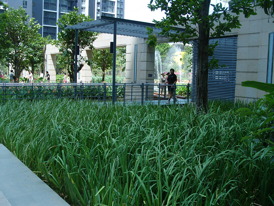 CITIC Mangrove Bay, Shenzhen - Residence - L&A GROUP | To Create a Better Environment-26