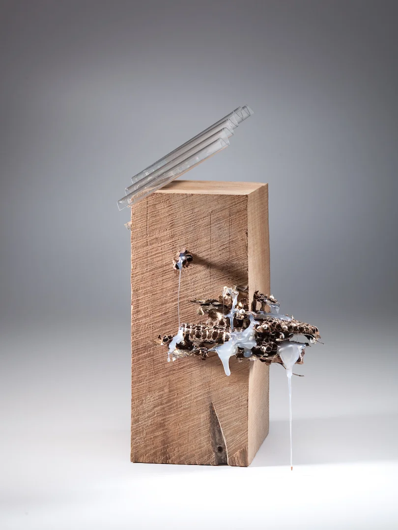 明日綻  質物霽畫 BOTANIPLAN VON LEE CHI-23