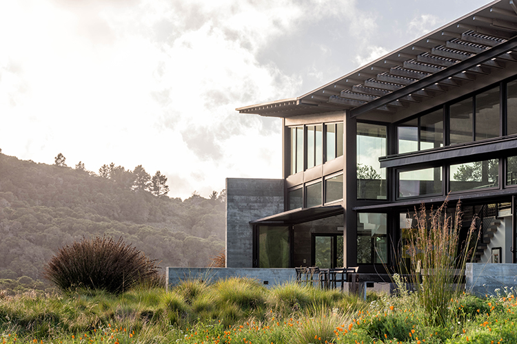 Gardening Archives - aspire design and home-6