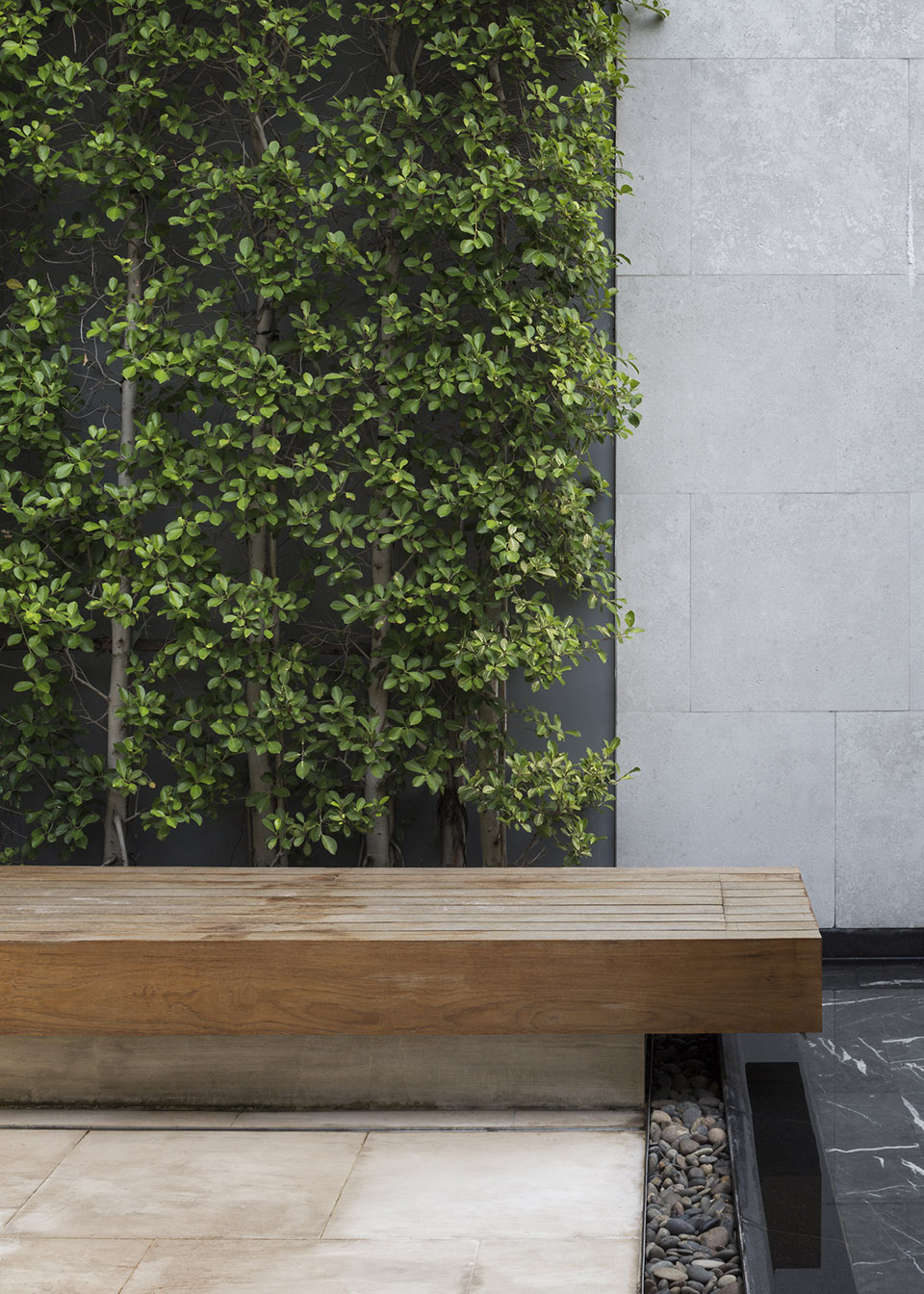 曼谷ReGEN住宅  / EKAR-30