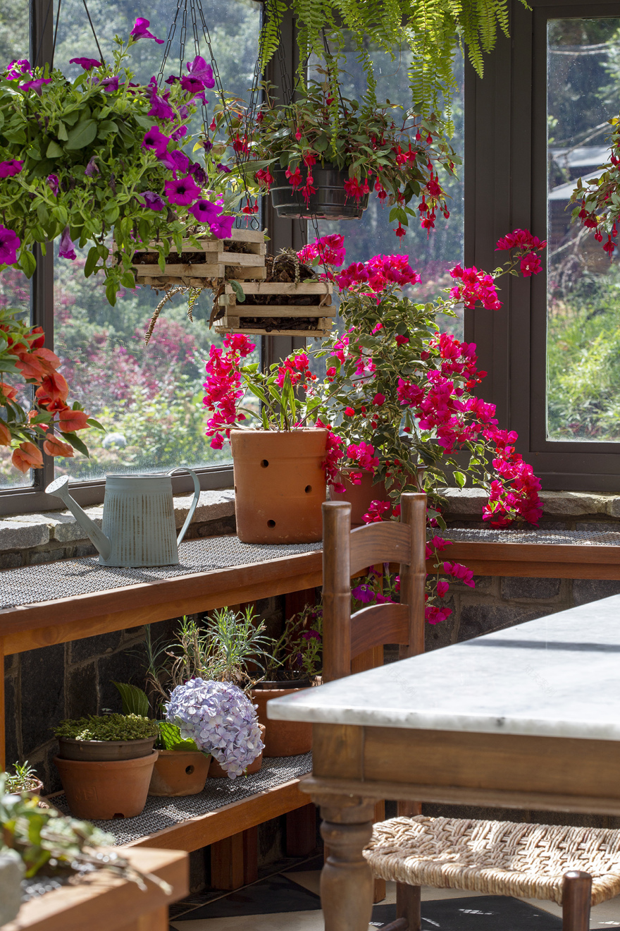 巴西 Araucária 家庭温室丨Angá Arquitetura-53