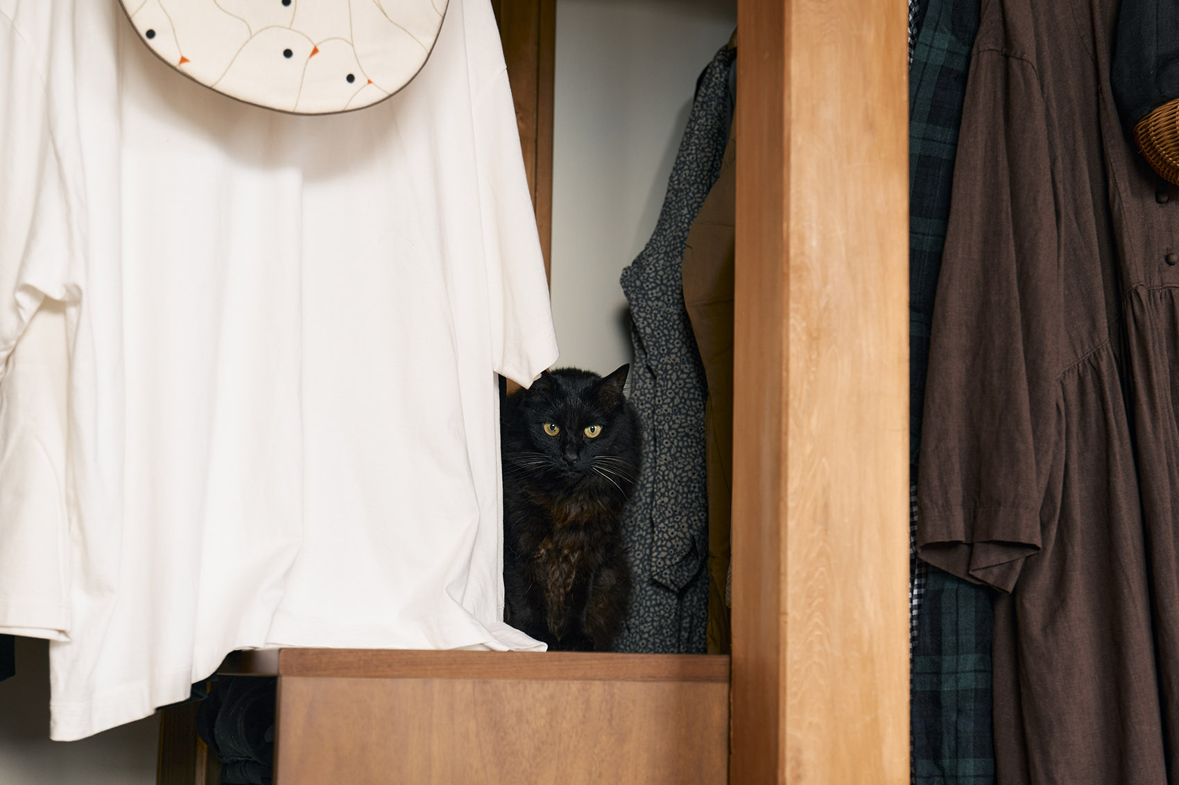 梶原住宅丨日本丨ROOVICE-105