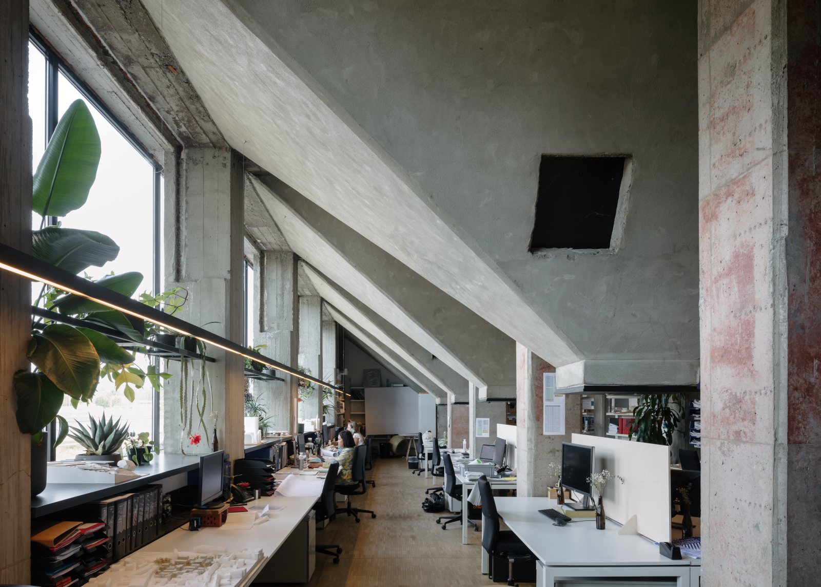 De Silo 可音译为 德·西洛 但若它在特定语境中有专业含义，需要更多背景信息才能精准翻译 丨比利时丨a2o-2