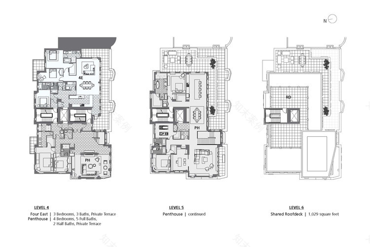 富尔 51 马尔伯勒-17