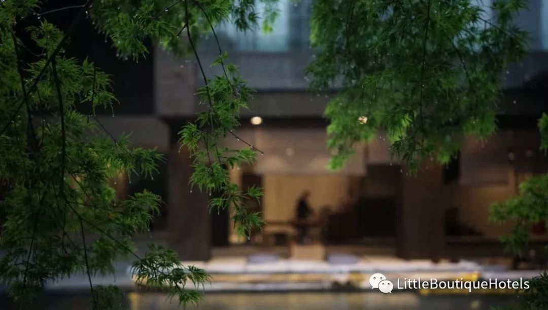 青城山坐忘森林酒店 | 一步一禅,一宿一悟的禅意度假胜地-8