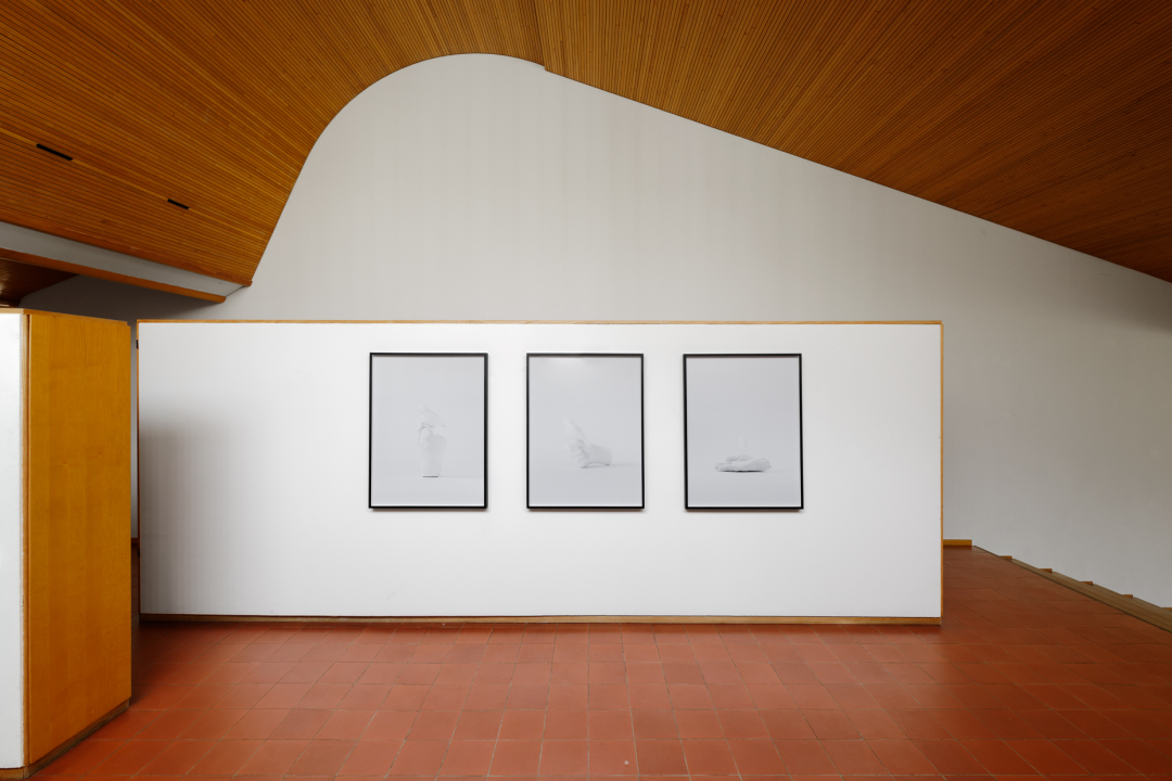 路易·卡雷住宅丨法国巴黎丨阿尔瓦·阿尔托（Alvar Aalto）-18