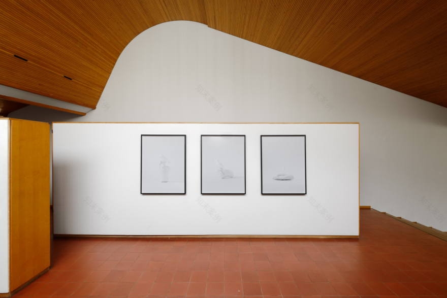 路易·卡雷住宅丨法国巴黎丨阿尔瓦·阿尔托(Alvar Aalto)-18