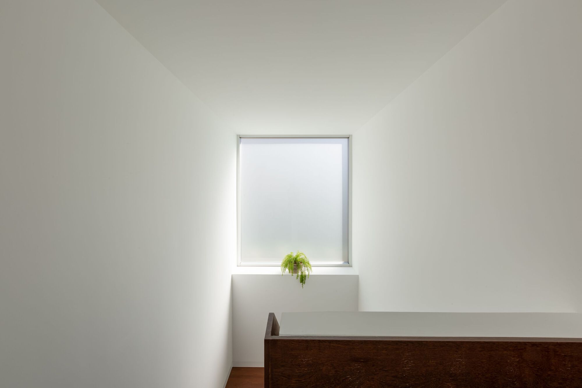 塞拉多·达阿德加的房子丨葡萄牙丨AA. Arquitectos-29