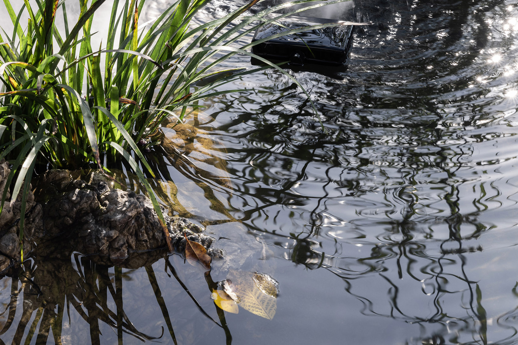 集泮·良食餐厅丨中国厦门丨壹壹文化,方式设计-15