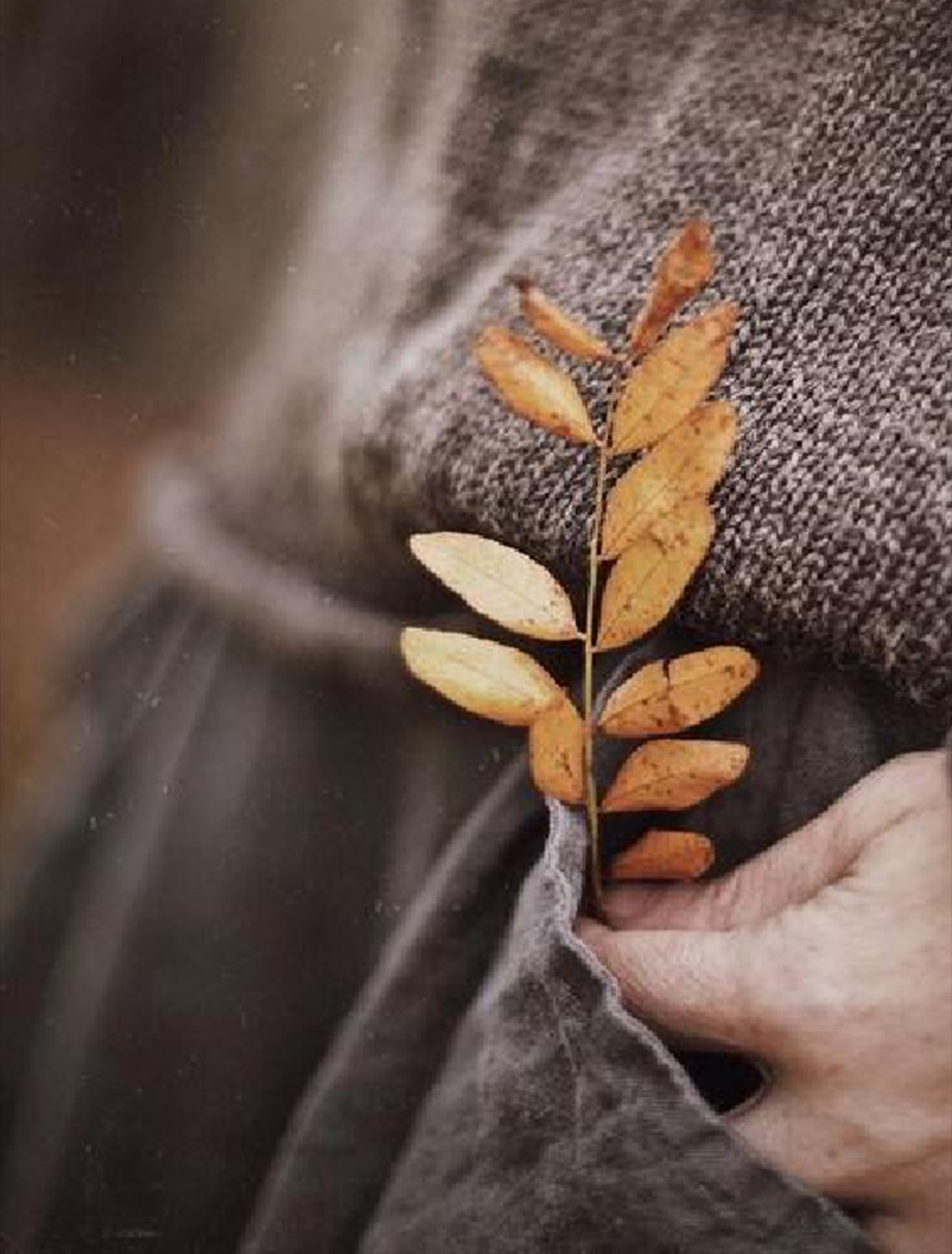 中奥安徽马鞍山江南云筑样板房丨中国鞍山丨深圳市尚石设计有限公司-30