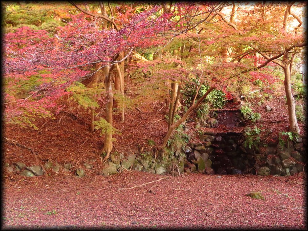 瑠璃光院（旧高级旅馆「喜鶴亭」）丨日本京都-20