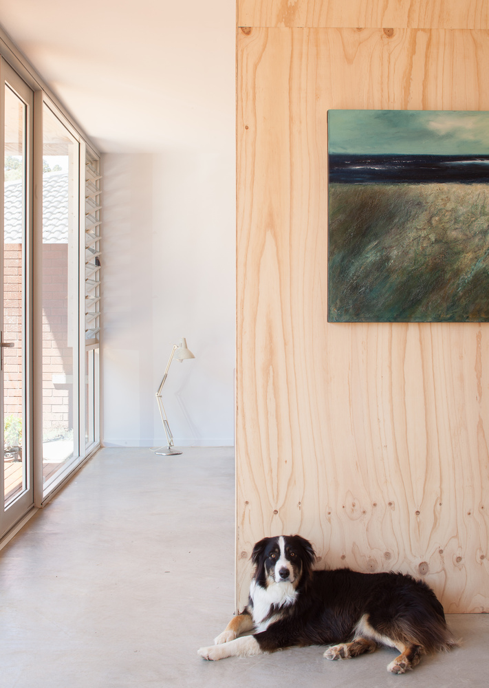 澳大利亚汉密尔顿山可持续住宅设计（Erpingham）-28