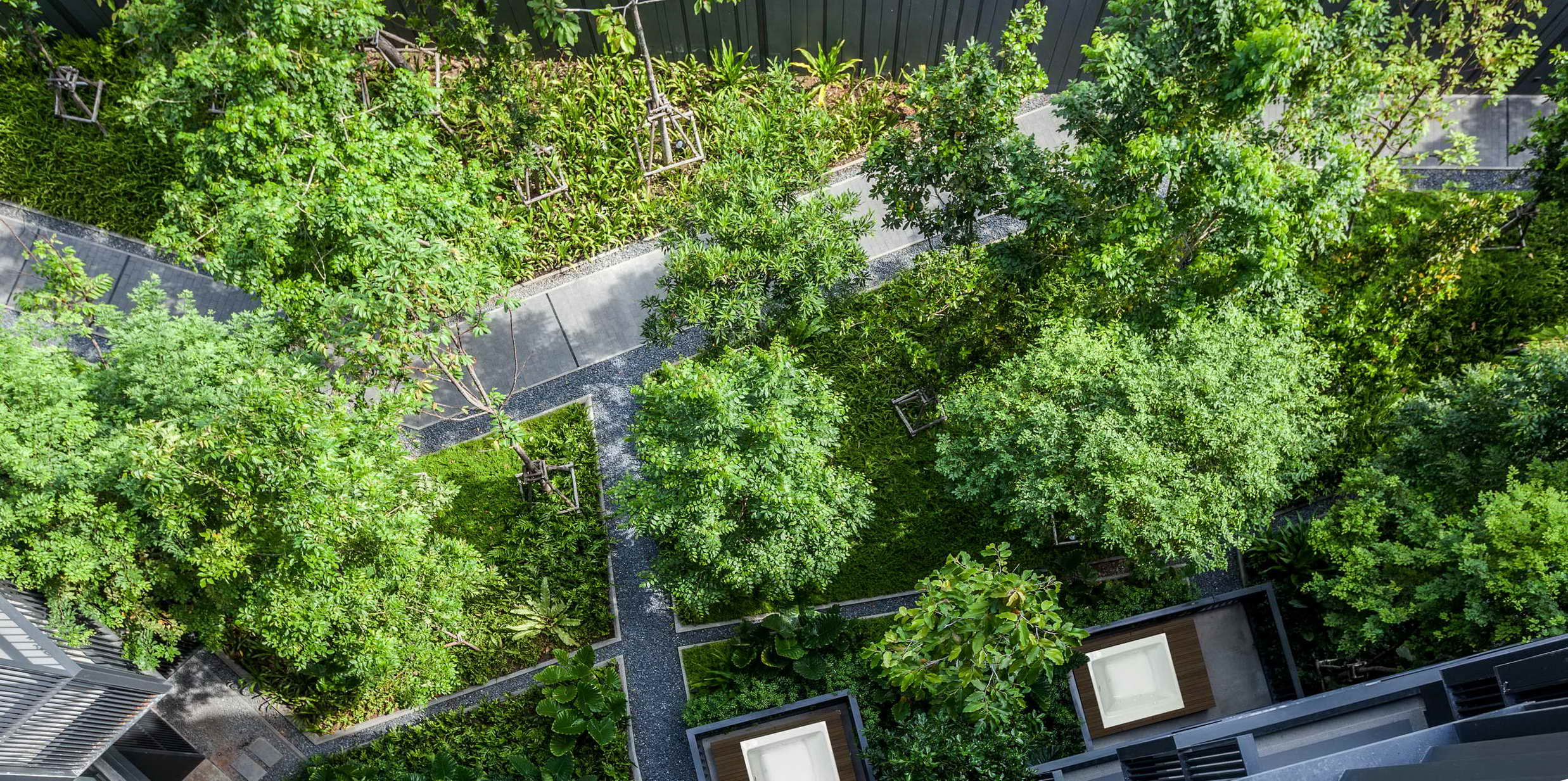 泰国普吉岛 The Deck Patong 公寓 | 融入自然的景观设计-16