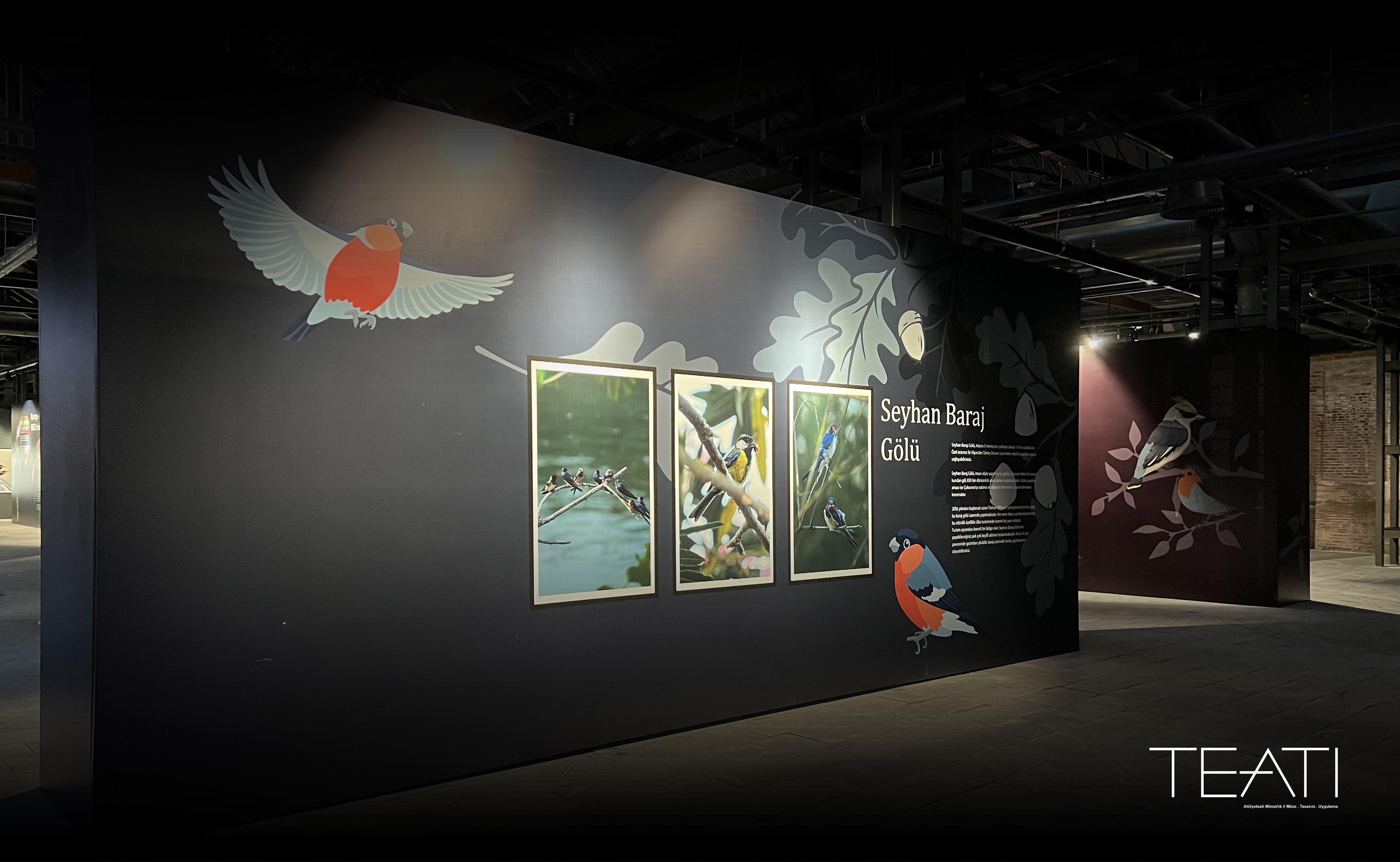 Birds: Biological Diversity Exhibition-1
