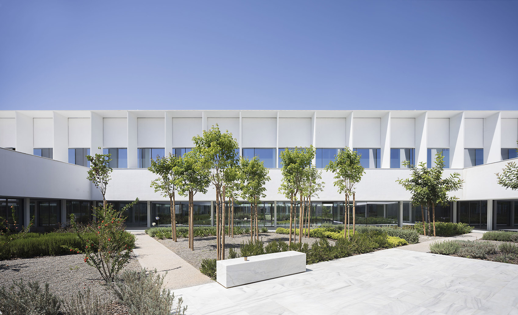 马拉加大学总部及礼堂丨西班牙马拉加丨Alcolea+Tárrago Arquitectos-18