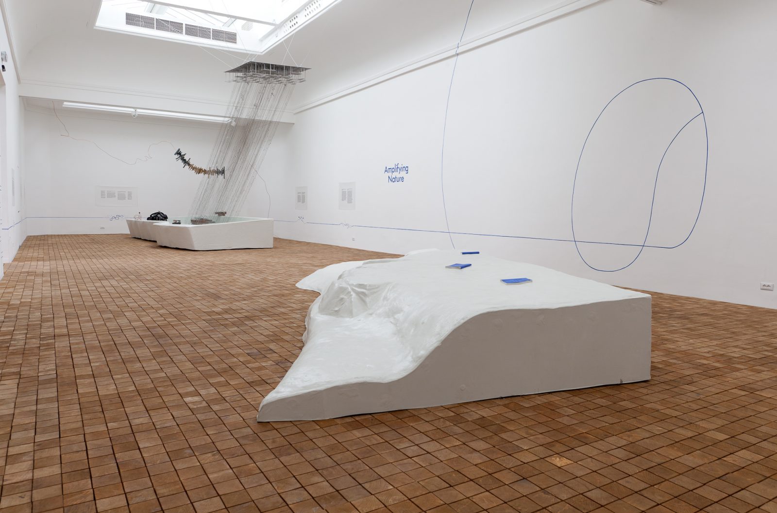 威尼斯波兰馆·CENTRALA“放大自然”展览丨法国尼斯-23