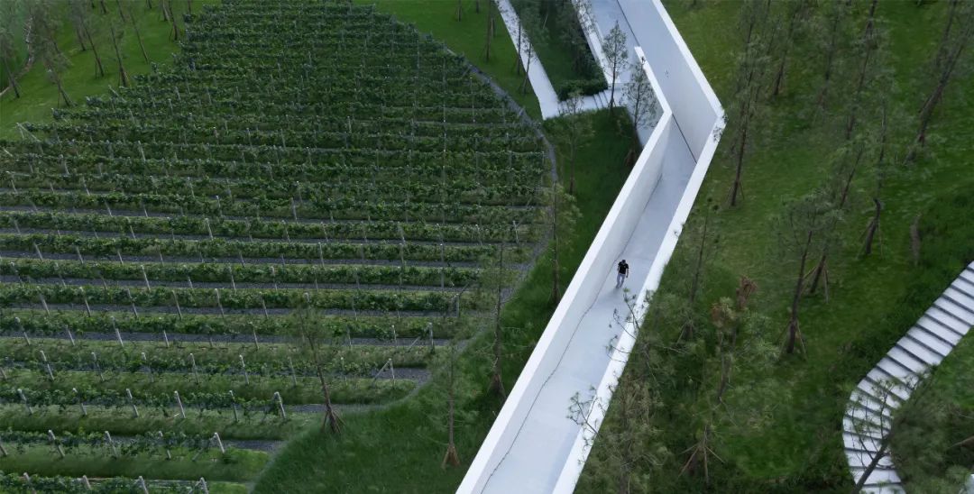 重庆万科璞园丨中国重庆丨WTD纬图设计-6