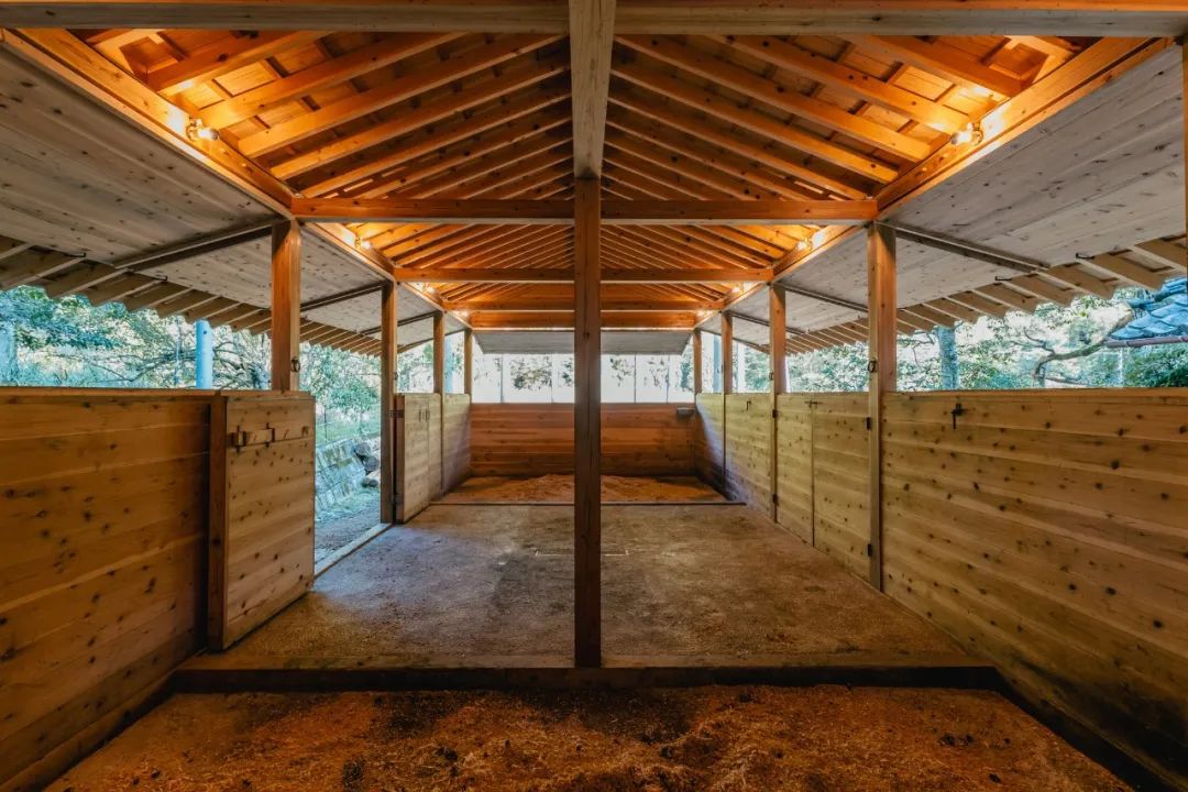 马术圣拉蒙丨墨西哥丨Módica Ledezma-110