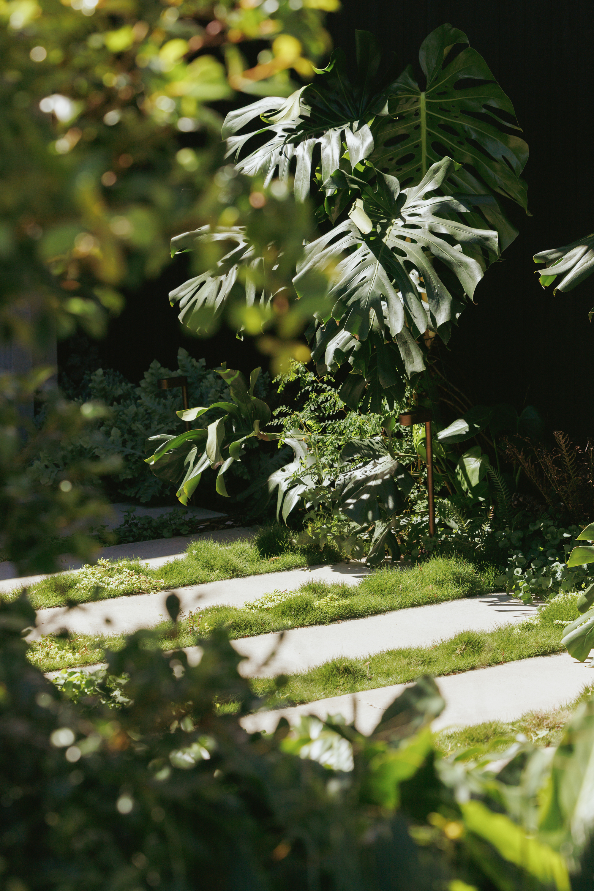 别墅庭院丨澳大利亚丨buck&simple-57