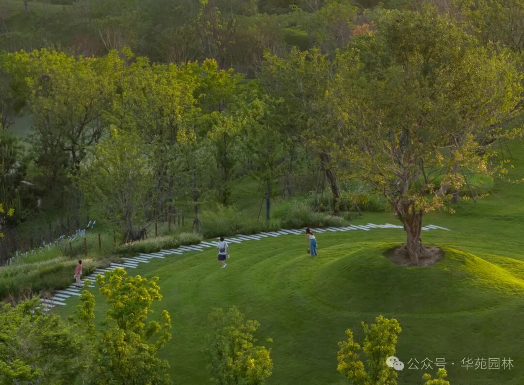 在岛上，过另一种生活丨武汉麓客岛一期一标段&水线公园南区景观工程-24