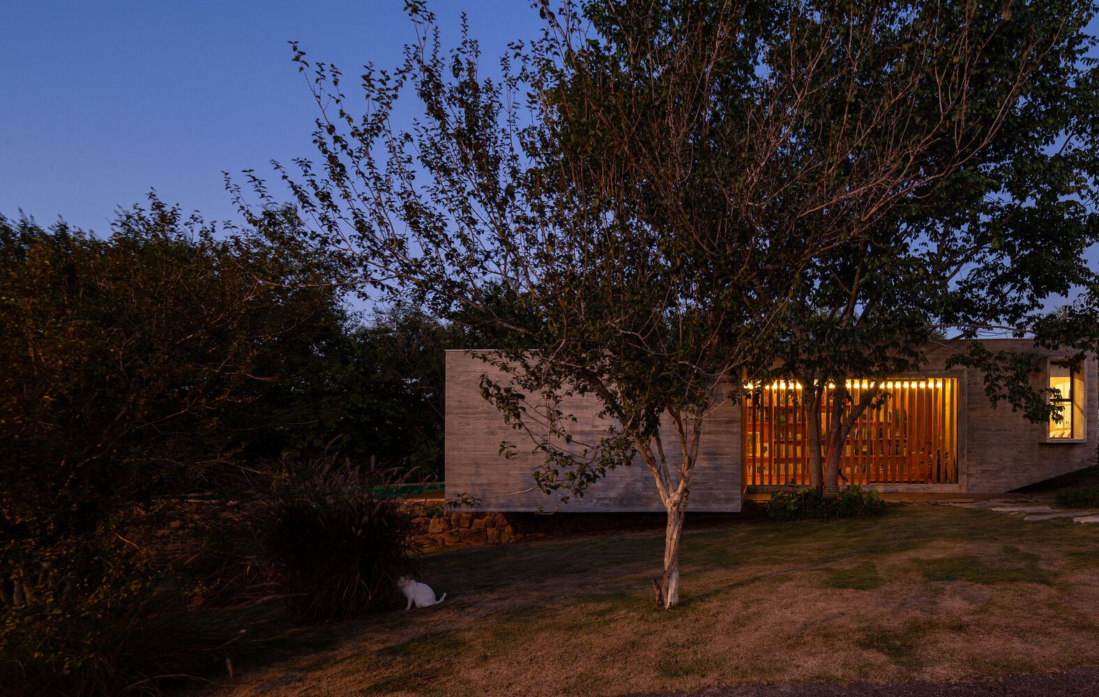 凉亭住宅丨idsp arquitetos-30