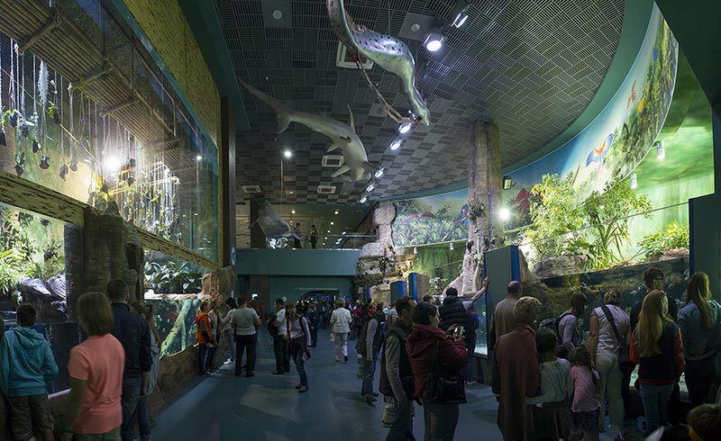 “Moskvarium”海洋馆丨俄罗斯莫斯科丨Aqua Logo Engineering-70