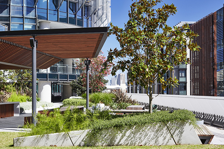 悉尼国际塔楼丨澳大利亚悉尼丨ASPECT | OCULUS-4