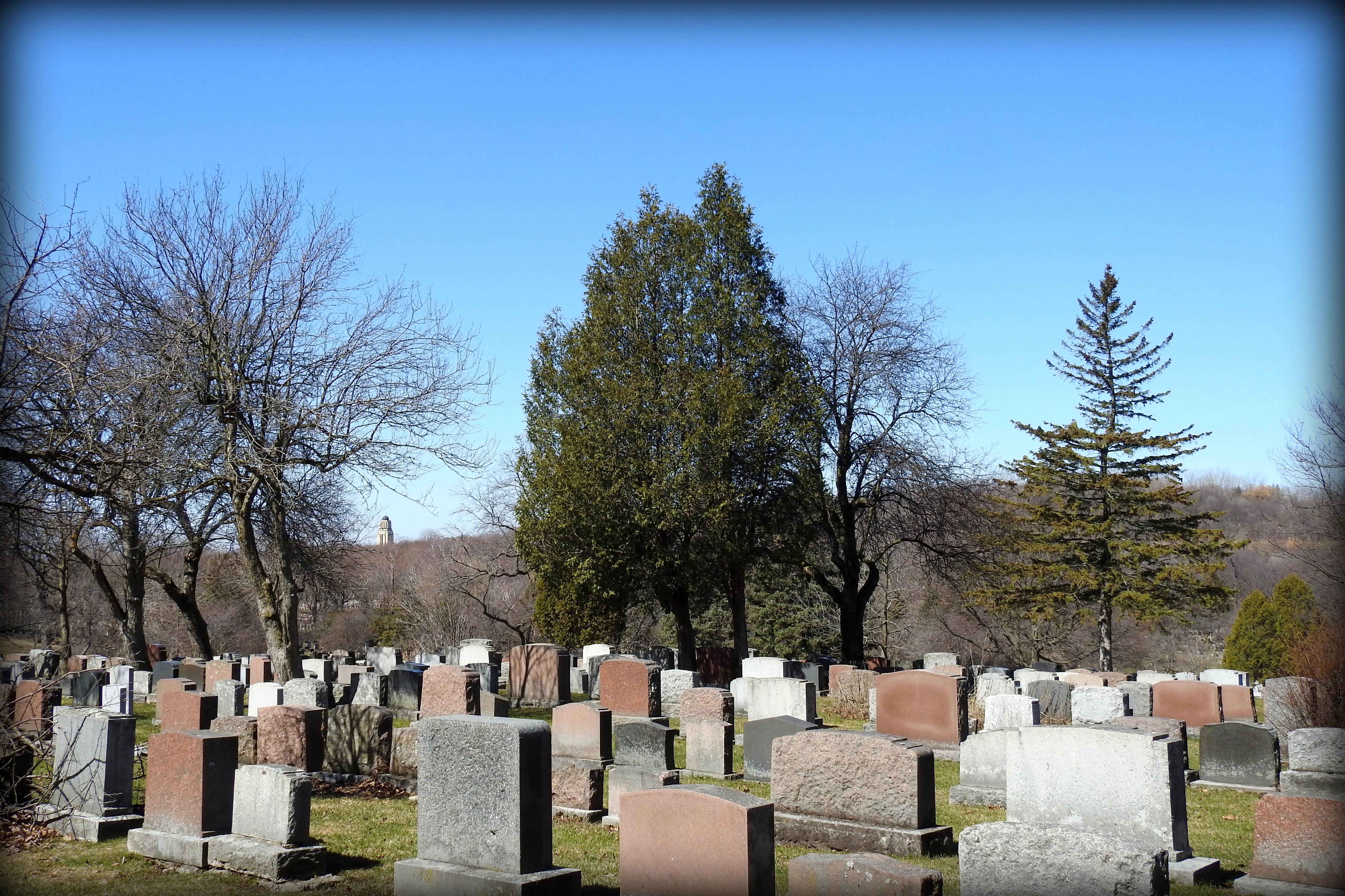 蒙特利尔纪念相册丨加拿大蒙特利尔-38