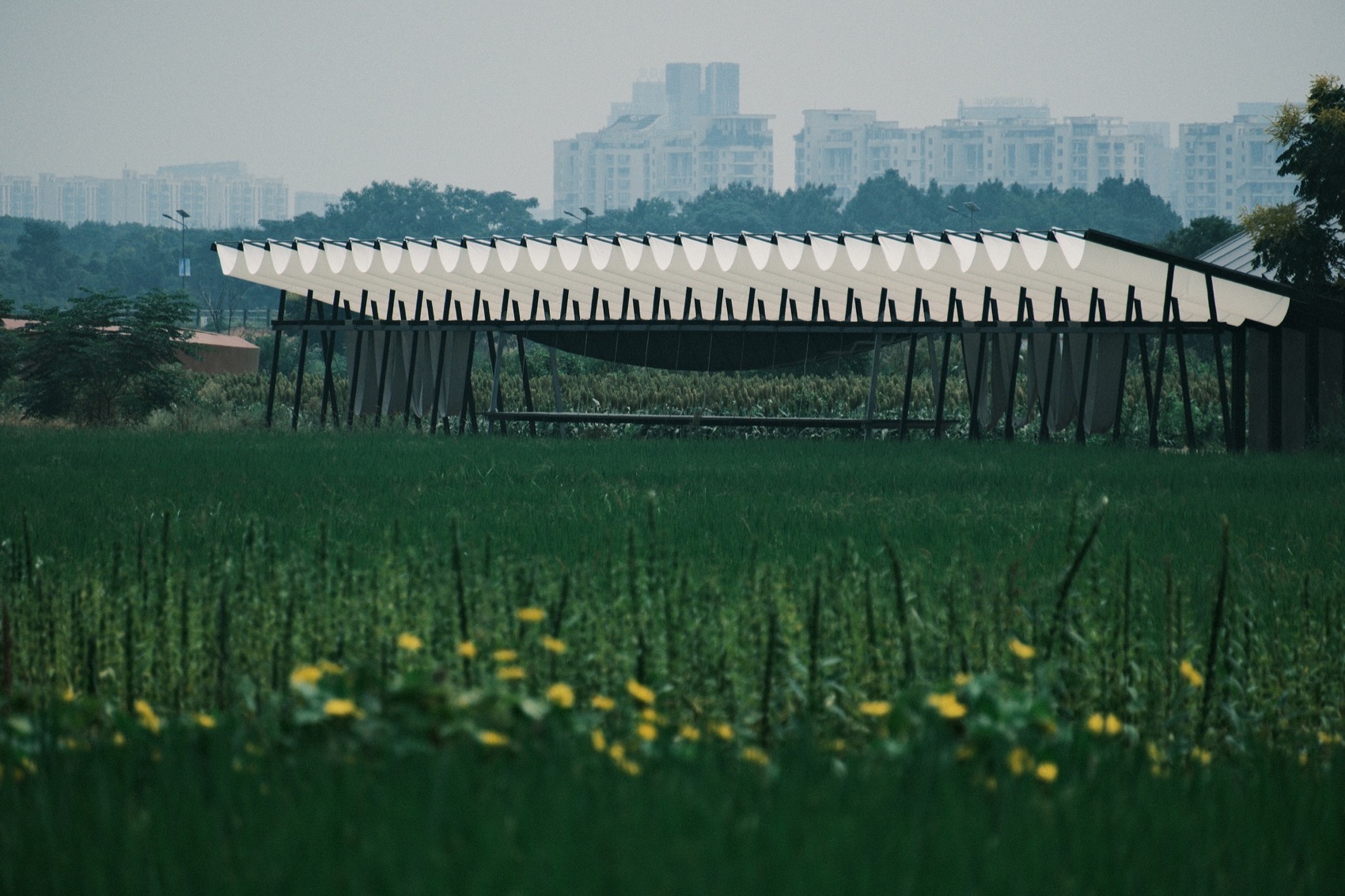 大地长桌丨中国衢州丨梓集fabersociety-6