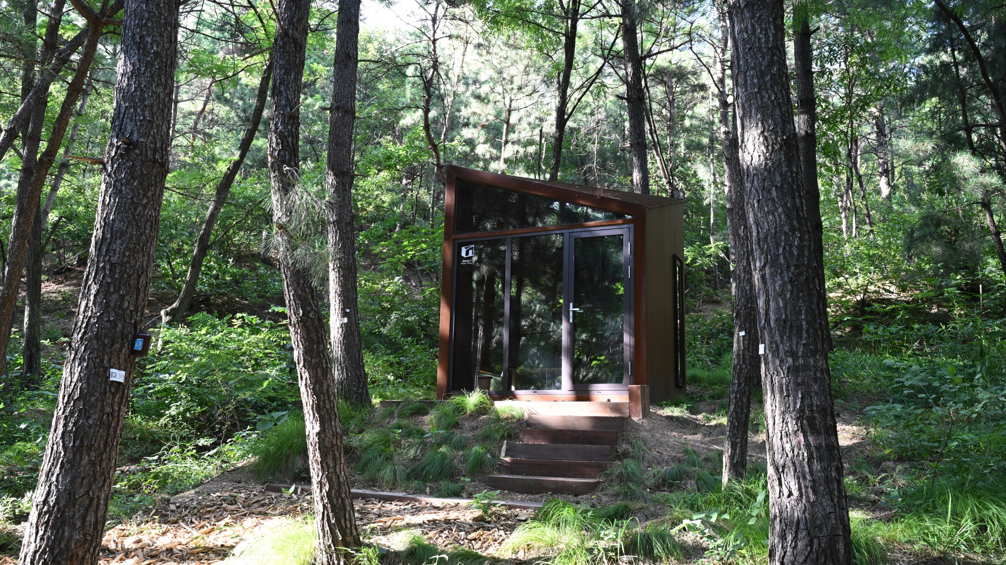 昆嵛山国家级自然保护区基础设施设计项目丨大小景观团队（Atelier Scale）-157