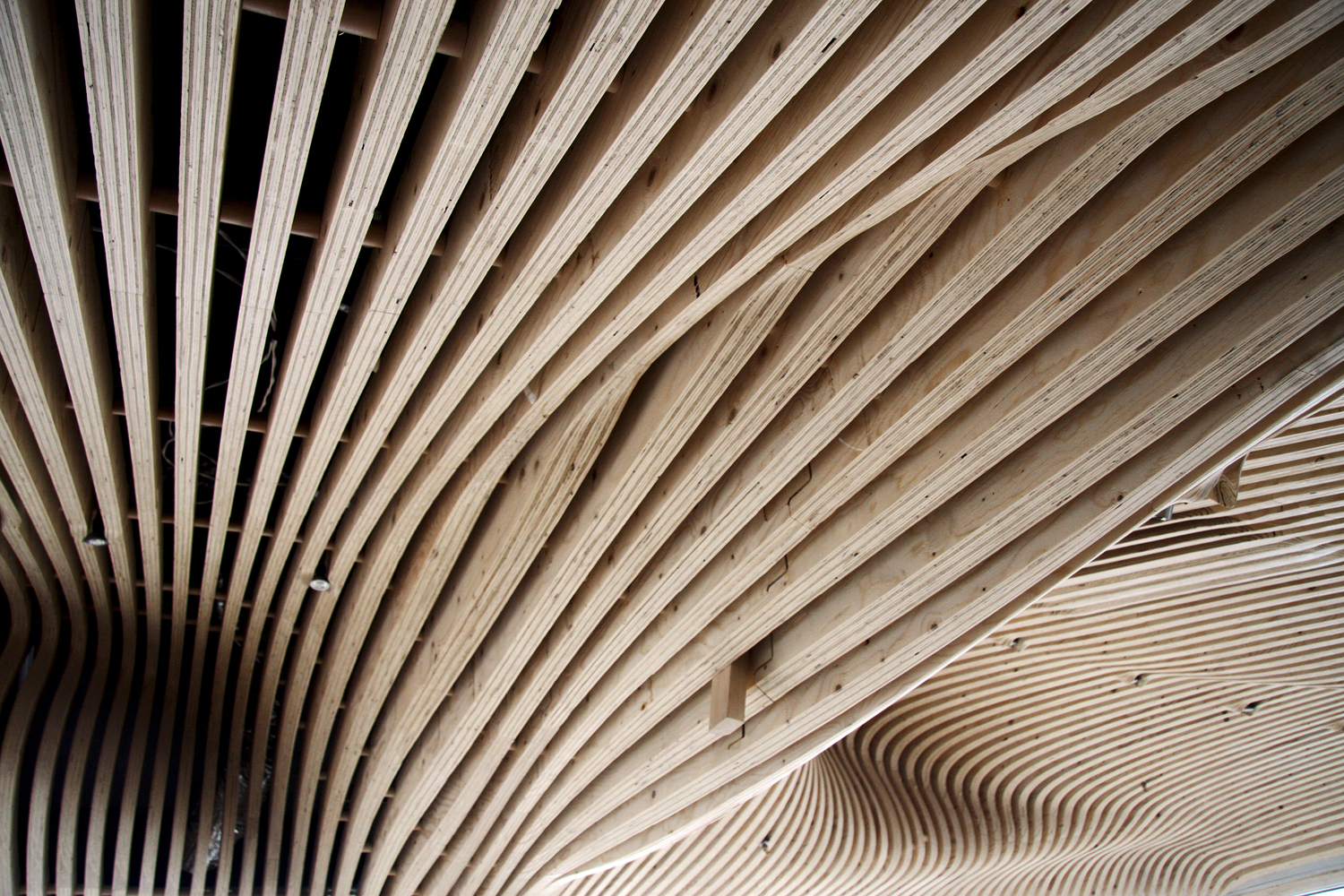 一个主要办公室翻新丨美国丨dECOi Architects-59