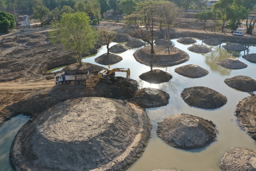 Benjakitti Forest Park(本贾吉蒂森林公园)丨泰国曼谷-11