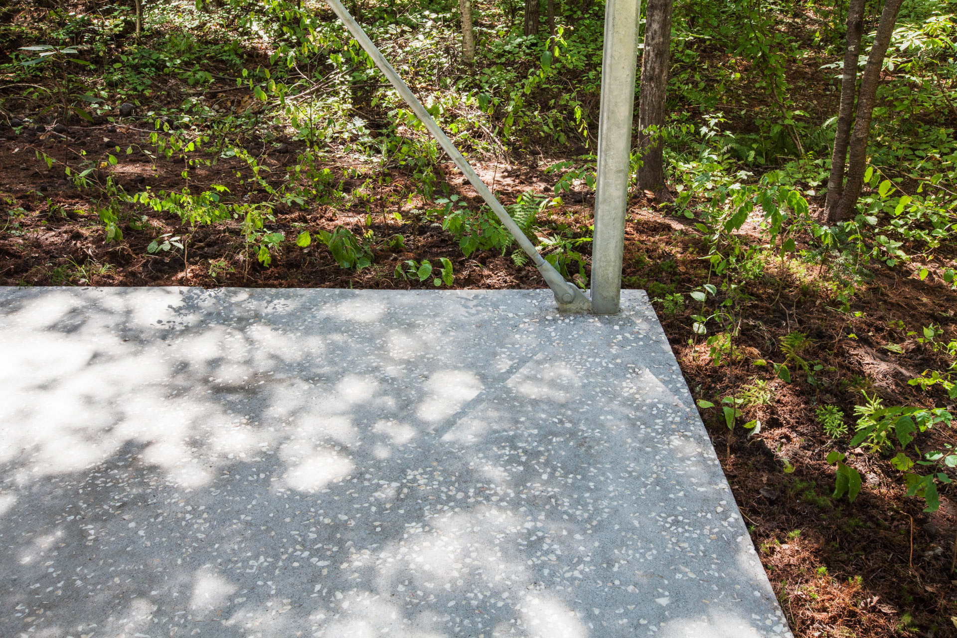 森林中的支柱（在建筑学里，pilotis一般指建筑底层架空的支柱；若结合语境有其他更合适的含义，可根据实际情况调整） 丨日本群马丨Go Hasegawa,Shu Yamamoto-4