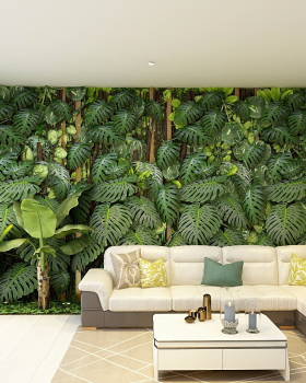客厅与阅读区绿色装饰