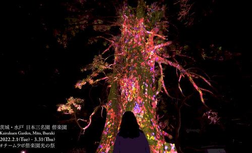 teamLab偕乐园光之祭丨日本-42