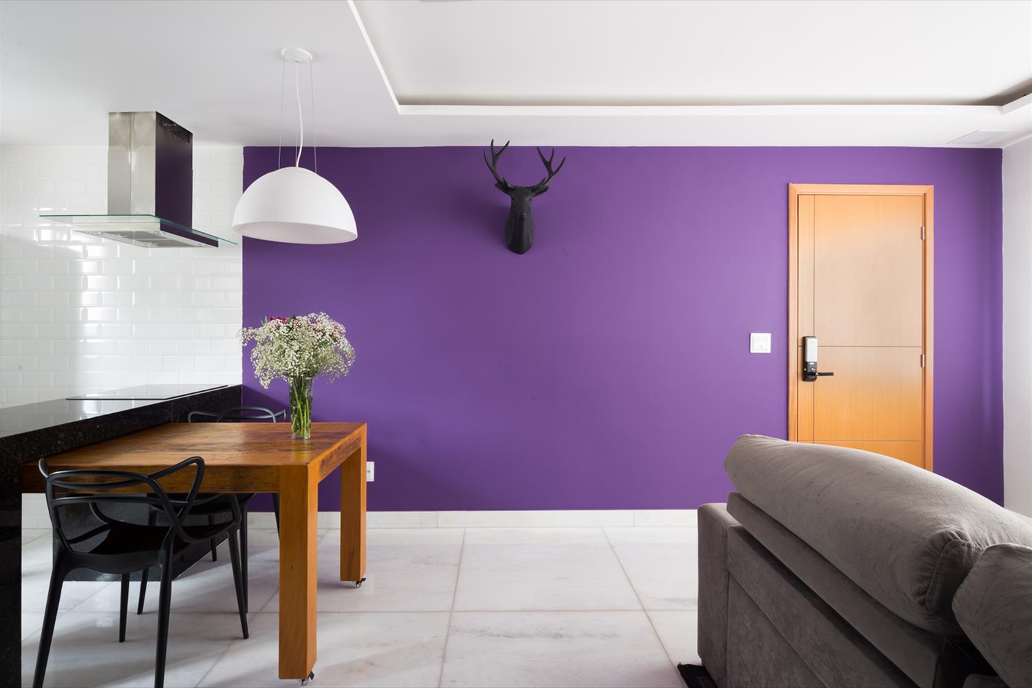 巴西圣保罗 Apartamento Santa Efigênia 公寓 | 紧凑与多功能的完美结合-3