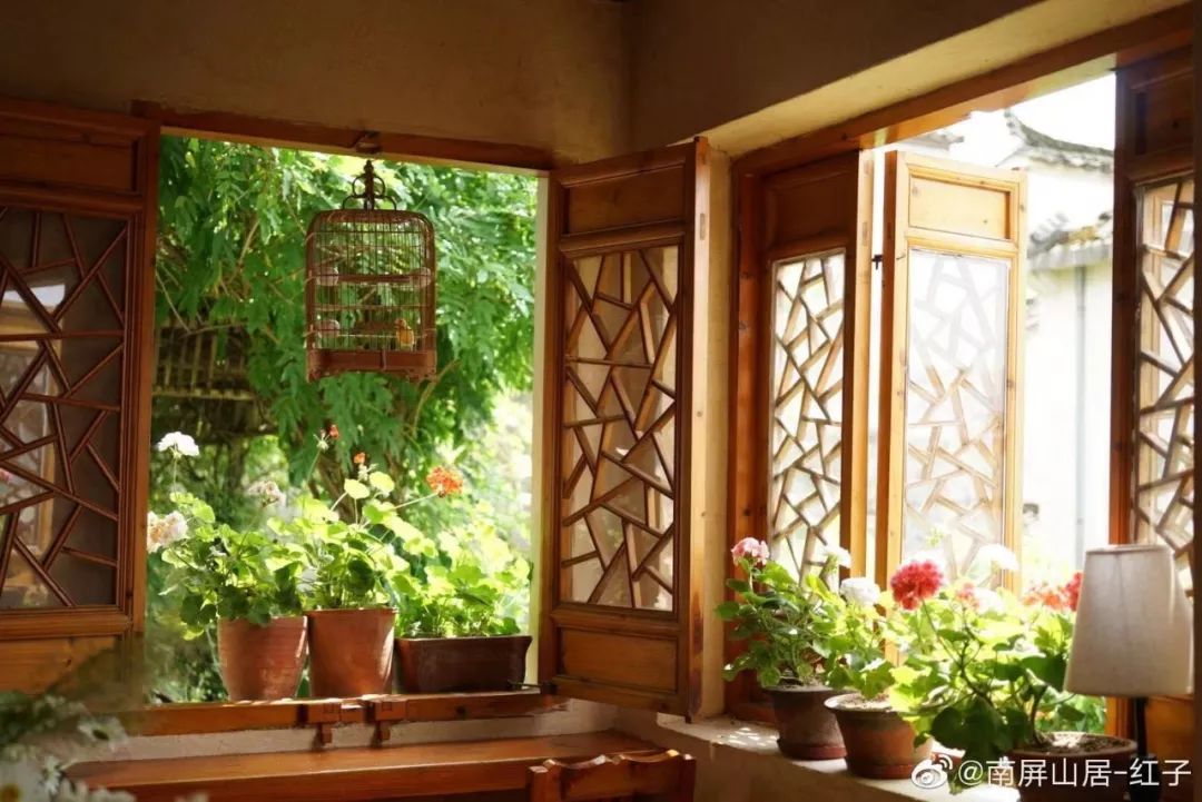 辞去工作，历时7个月，他们过上了有院子，有诗和远方的生活-75