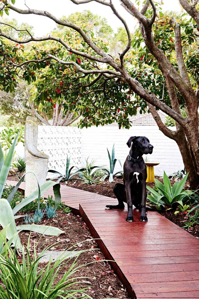 20世纪中叶现代主义住宅重建-16