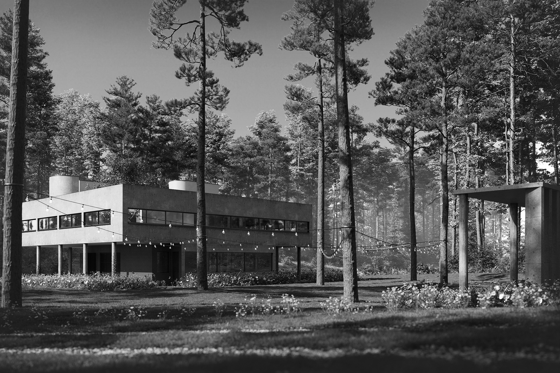 VILLA SAVOYE in the forest-11