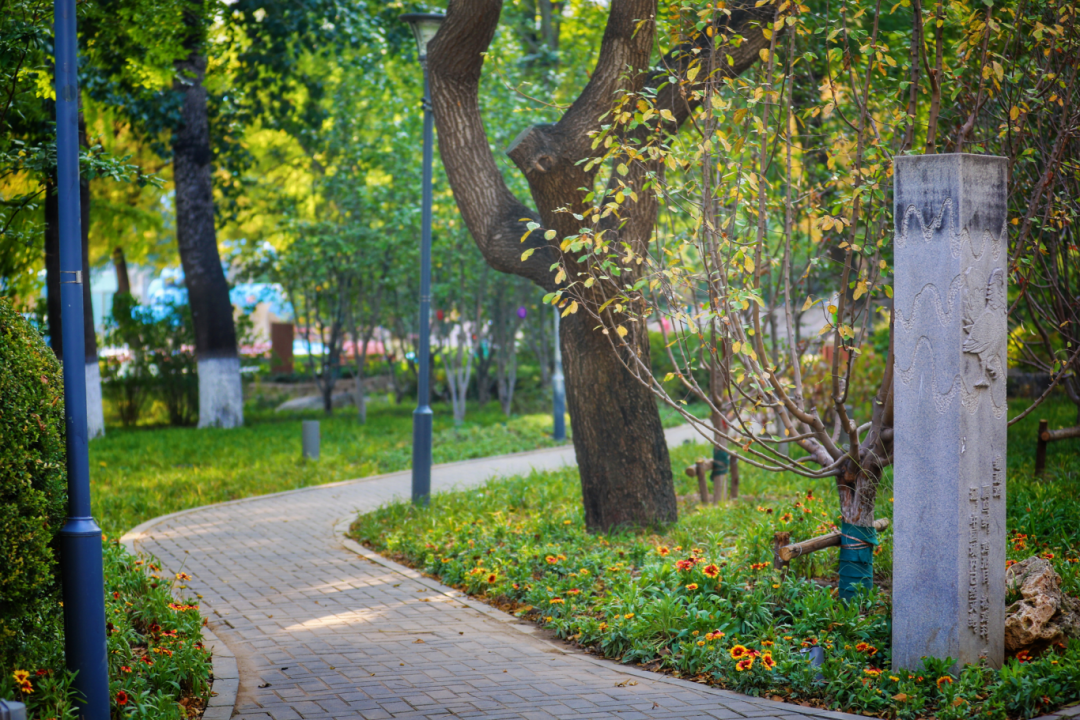 南馆公园及周边改造提升项目丨中国北京丨北林地景-59