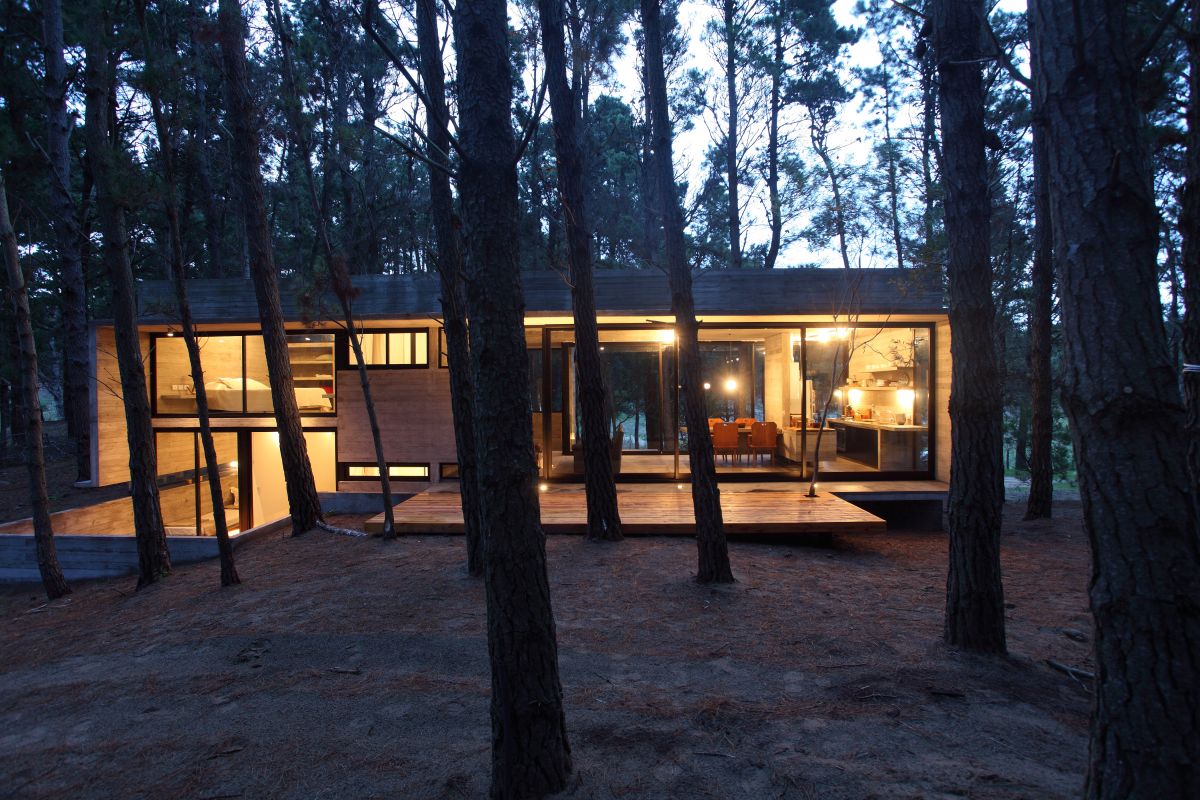 阿根廷森林中的雪儿别墅-13