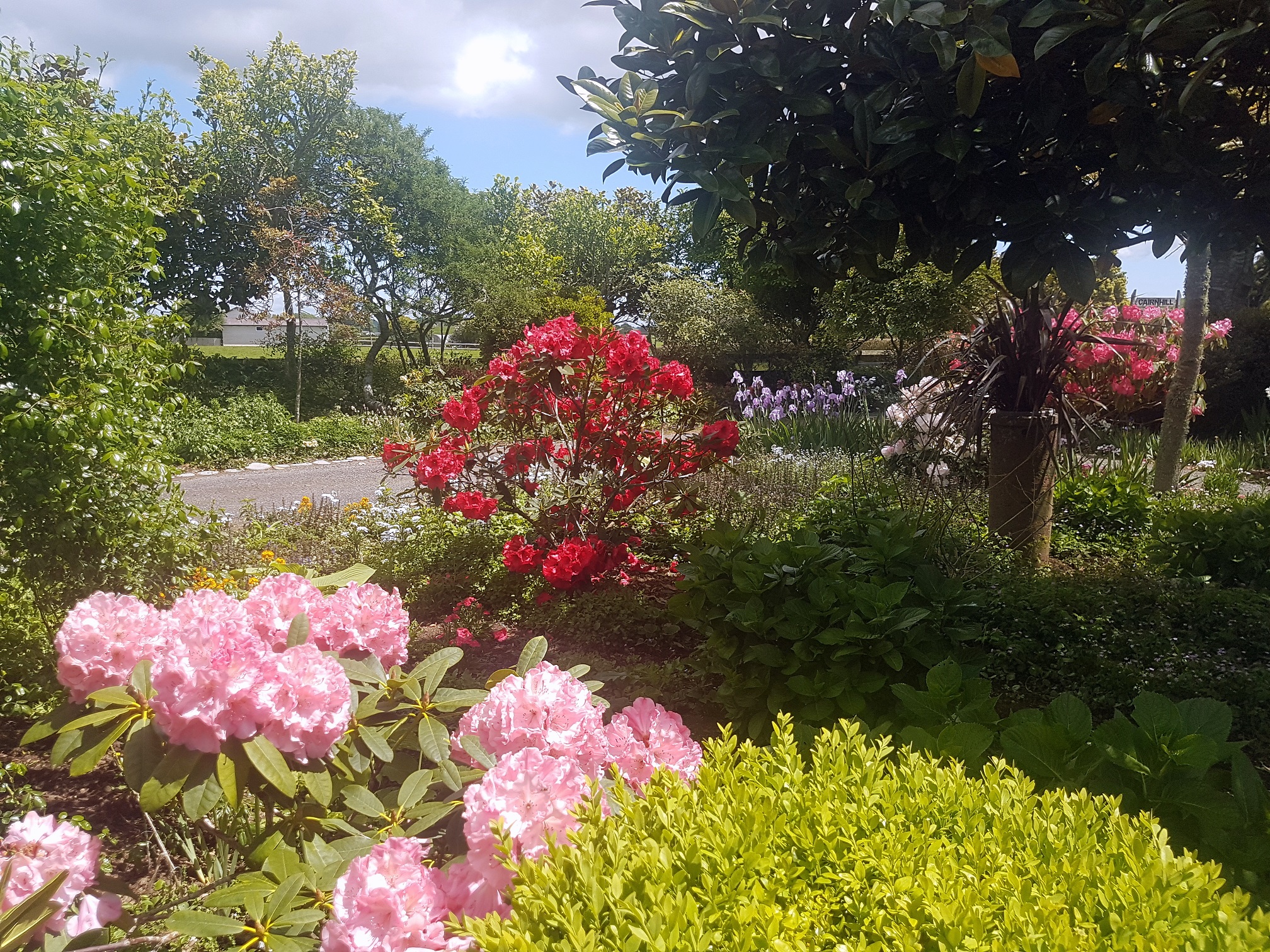 Cairnhill私人花园-26