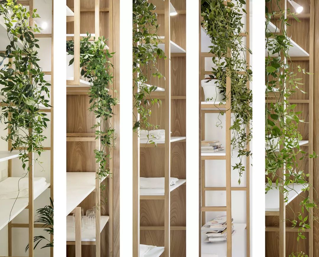 圣安东尼阁楼住宅 | 灵活体系，光影交叠-40