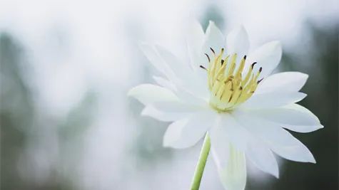 “粮仓”精品酒店丨中国山东丨野境设计-51