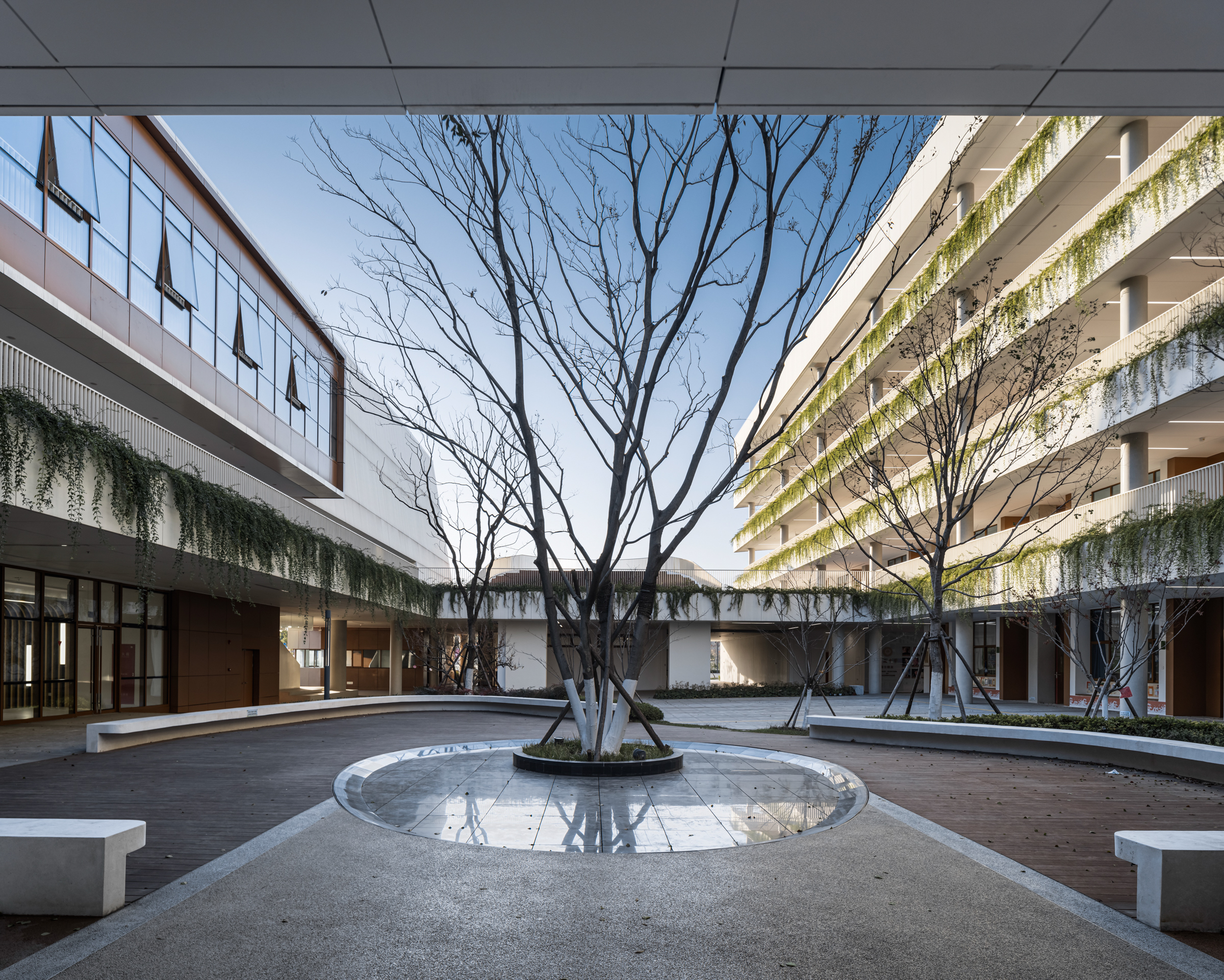 为校园“留白”：金陵中学附属中小学 / 九城都市-7