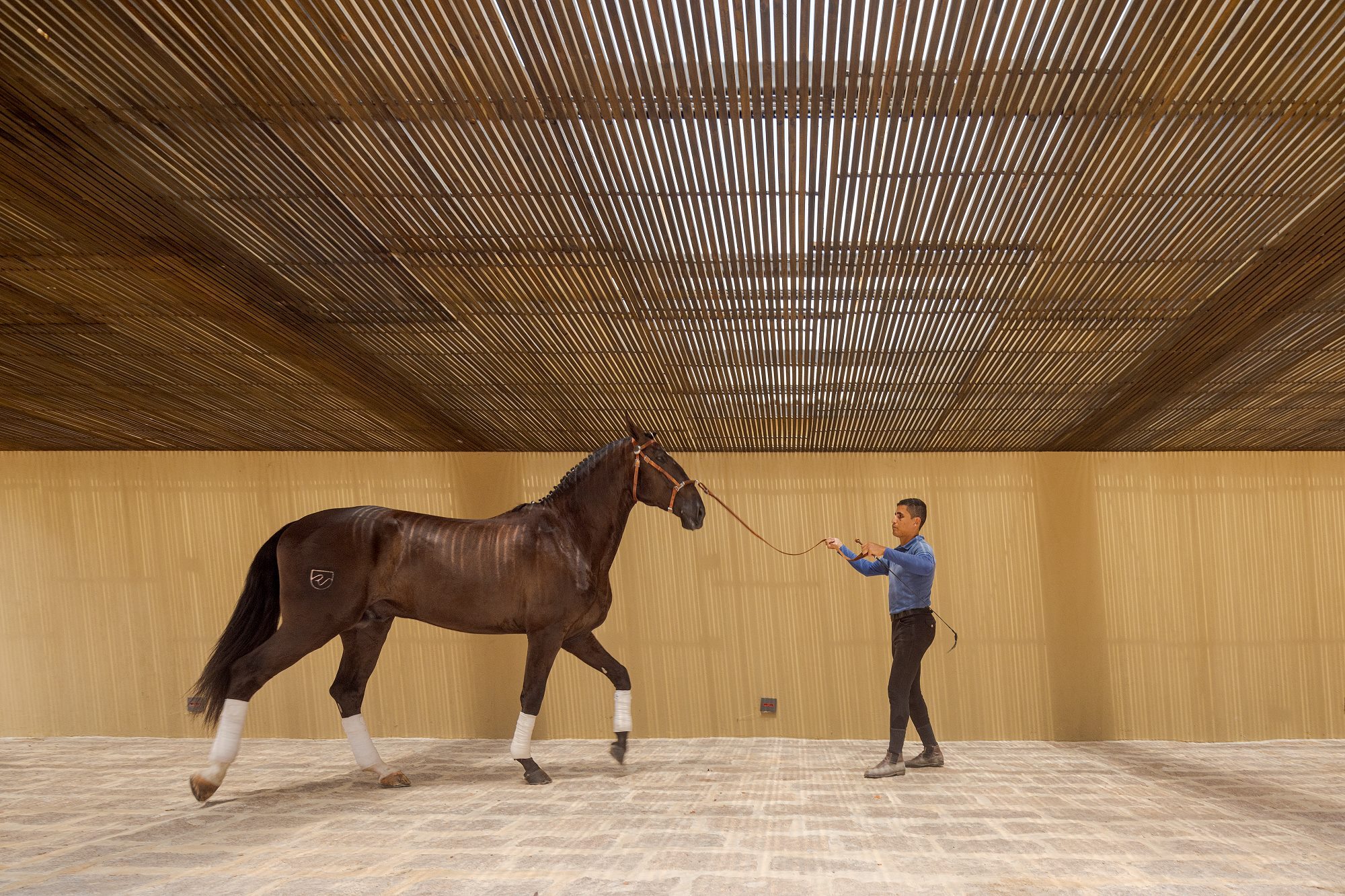 Coudelaria 休闲区与客房设计丨巴西丨Studio Arthur Casas-42