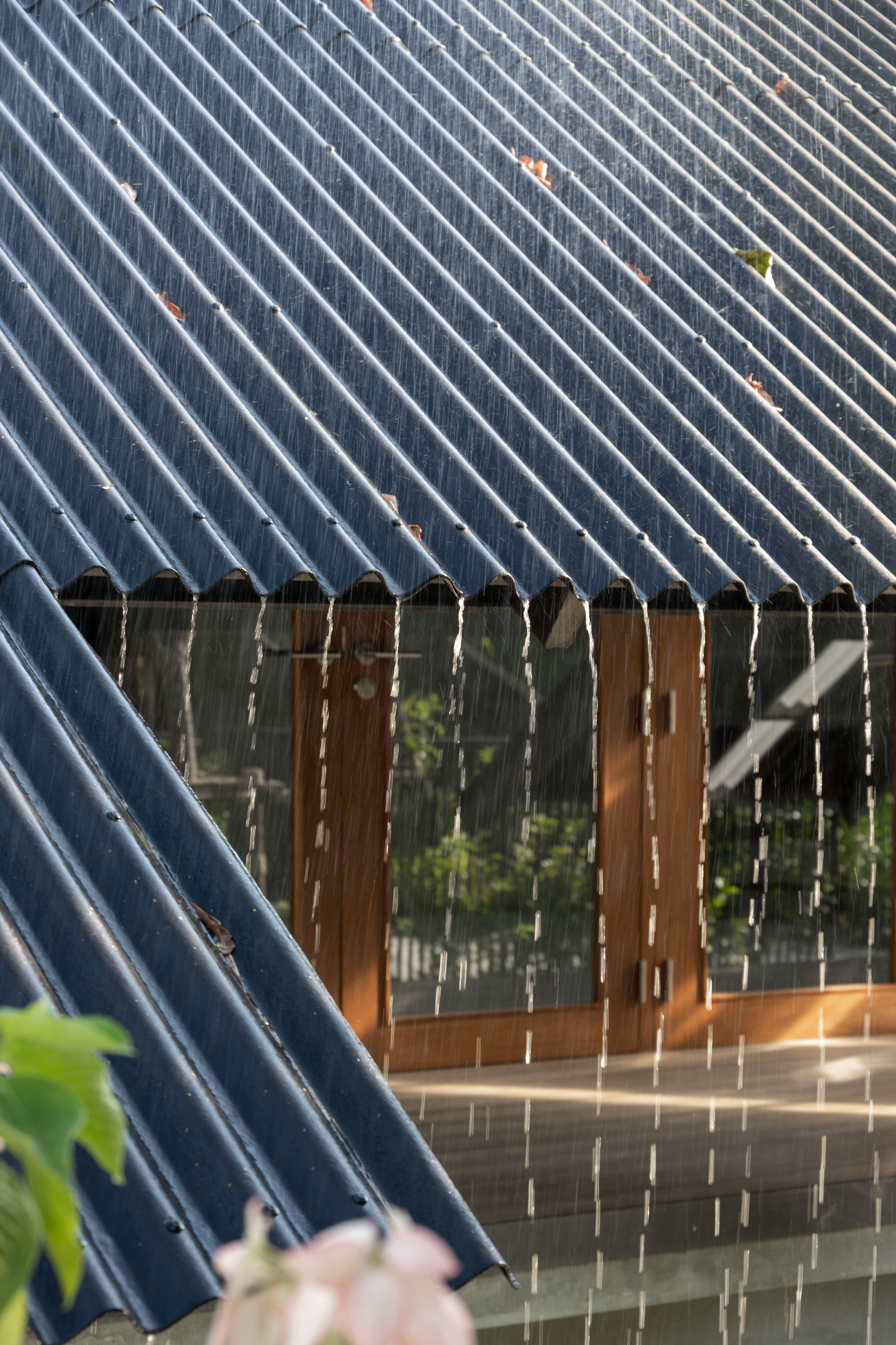 Dog,Human House,EKAR丨泰国佛统-44