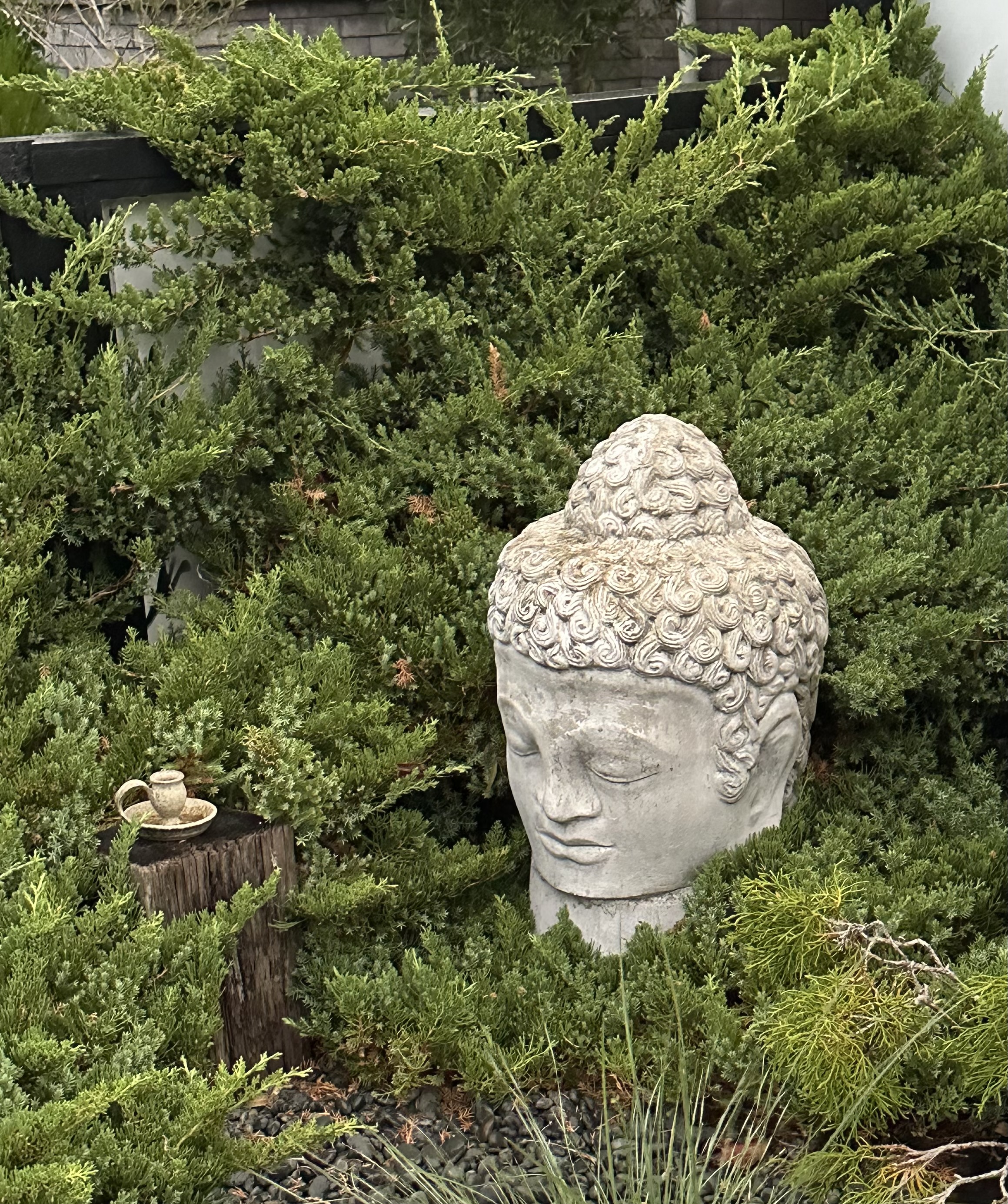 TwoConnect私人花园丨New ZealandAuckland丨Mary和Mark Jones-48