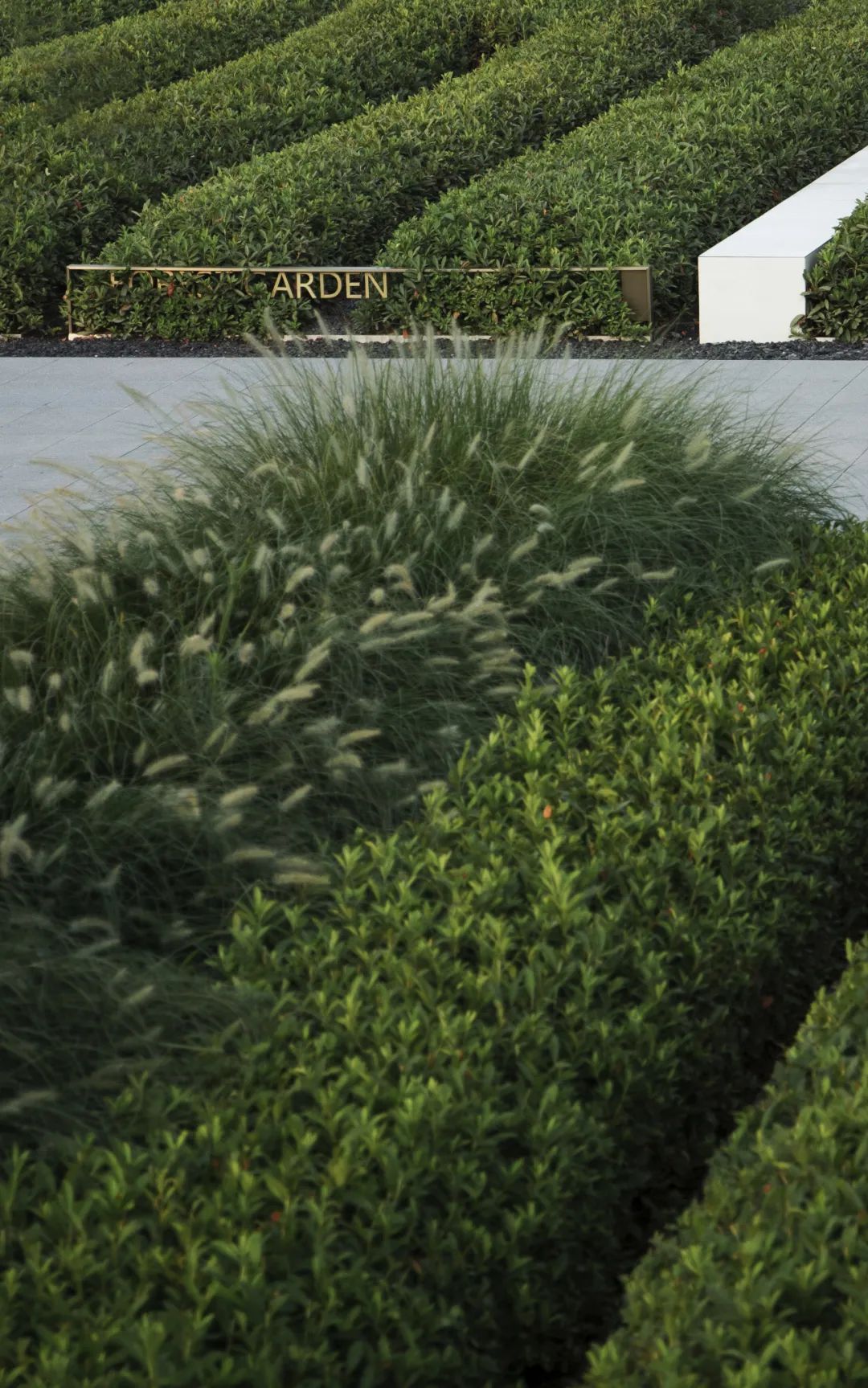 和熙碧影迎明月 | 绿城·沁香园-47